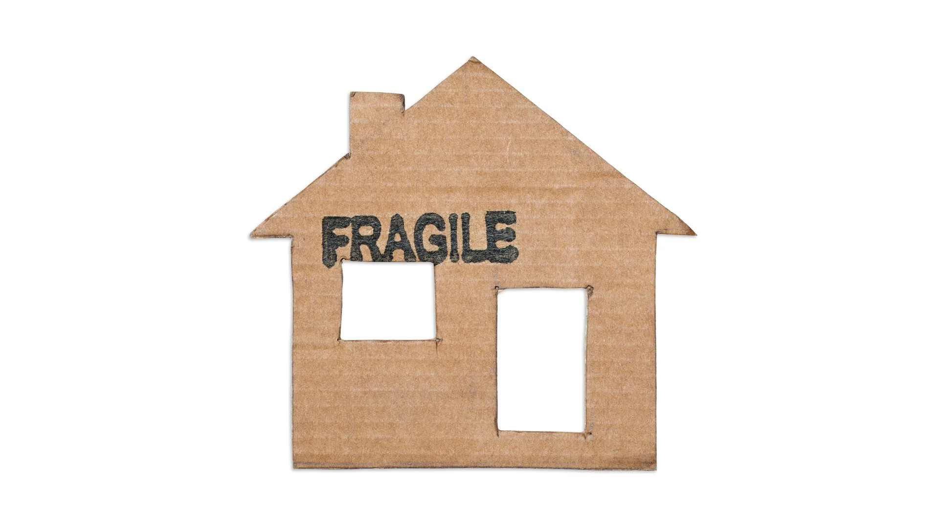 MotleyBloom-Cardboard-housewide