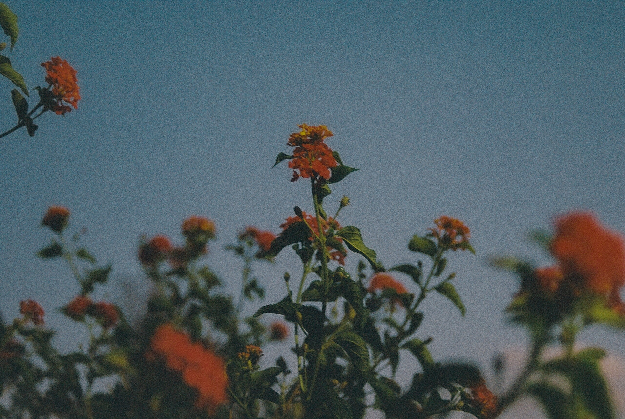 24f8e0ec-30e5-4172-a806-773c9a7d2ea8