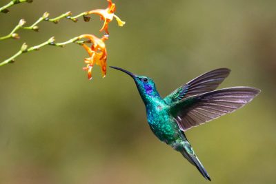 james-wainscoat-hjmED1qivmc-unsplash